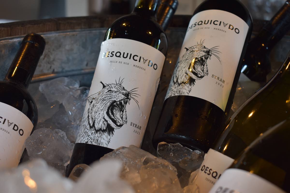 Botellas de vino de la edición solidaria, en hielo